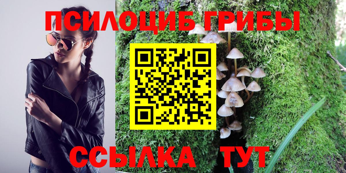 Псилоцибиновые грибы GOLDEN TEACHER  Вход с VPN  Новый Уренгой 